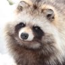 の's profile picture