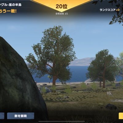 omacha_pr's profile picture