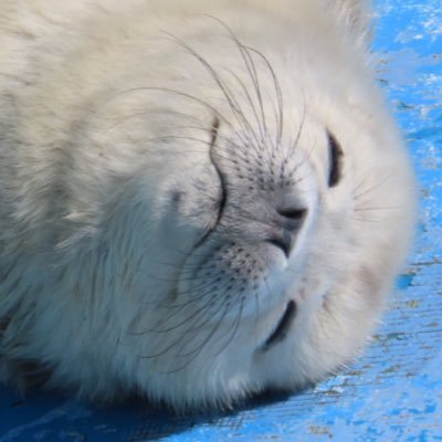 ゆちょん's profile picture