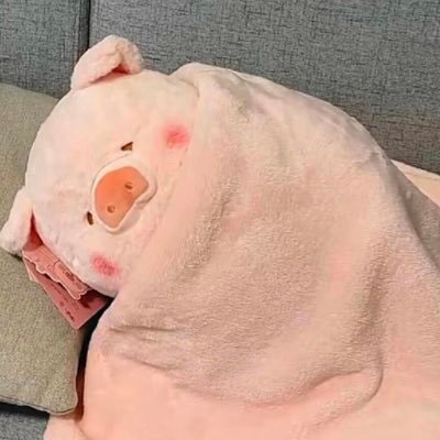 猪猪不吃肉's profile picture
