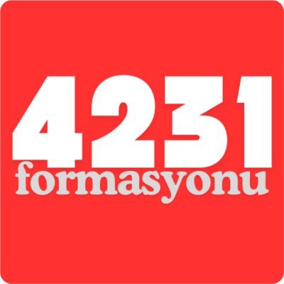 4231formasyonu's profile picture