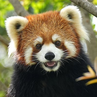 エリー's profile picture