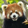エリー 的头像