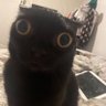 UMMMMM's profile picture