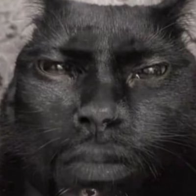 ⵣ's profile picture