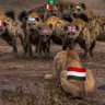 🇮🇶🇮🇷🇾🇪A's profile picture
