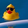 Justanother_duck 的头像