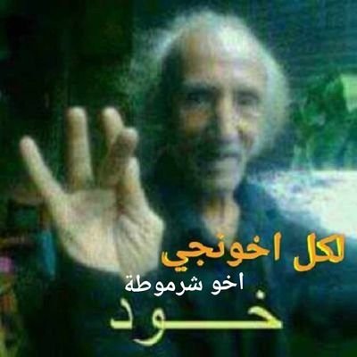 AlfynqTayr's profile picture