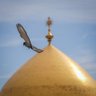 المهندس ادريس profil fotoğrafı