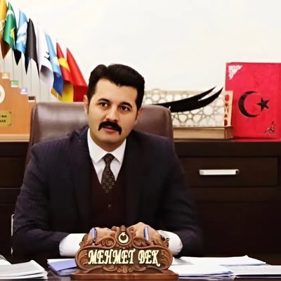 Mehmet Bek's profile picture