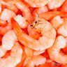 Фото профиля terminitelol