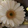 luzia profil fotoğrafı