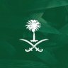 Profilbild von المستنير الحازمي