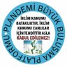 Фото профиля Elif Akdin