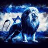 Фото профиля zahi levi