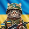 Наталія Ukraine 🇺🇦🇪🇺🇬🇧🇺🇦@N_LIBERTY's profile picture