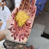 Фото профиля सारिका बतान