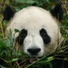 Profilbild von Hariz