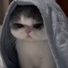 Profilbild von Maggie