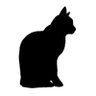 黒猫と名乗る中二病's profile picture