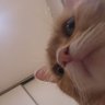 Noodlehead profil fotoğrafı