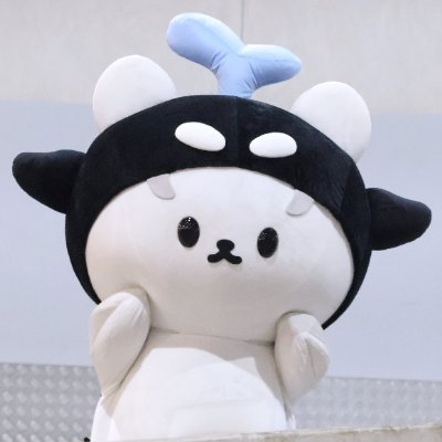 ซินซี 🐻❄️🐳🧏🏽♂️🧏🏻♂️'s profile picture