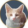 えみ/猫屋敷オーナー profil fotoğrafı