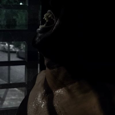 Werewolf's profile picture