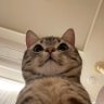 Пан Лютий 的头像