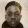 black bird fx's profile picture