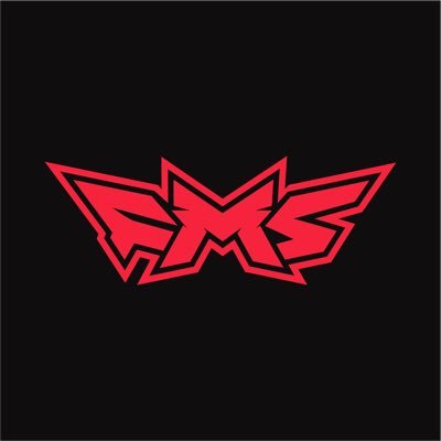 STORMMEDIA FMS's profile picture