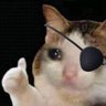 Profilbild von BOT attacked Ada