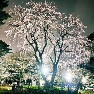 大宮公園駅周辺とその周辺の暮らし's profile picture