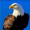 Falcon profil fotoğrafı