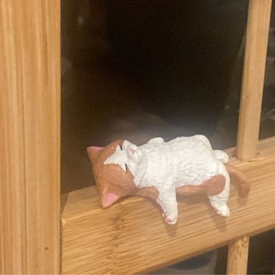 ふさたゃか's profile picture