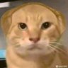 天真的阿春's profile picture