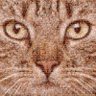 Nza's profile picture