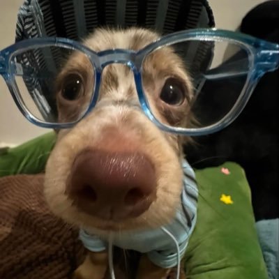 leeso ..'s profile picture