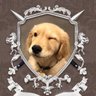 ᴢxy~♡'s profile picture
