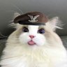 ZeZoolest's profile picture