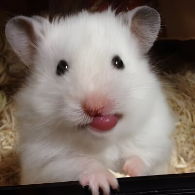 atpxxx's profile picture