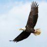 Luv2Fly profil fotoğrafı