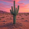 Фото профиля Dirk Ligter