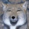 エムっち 的头像