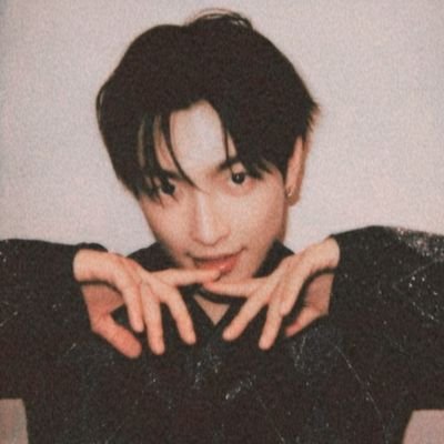 dee 🐿's profile picture