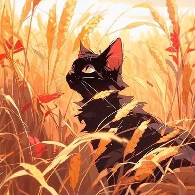 NoahR74's profile picture