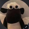 Profilbild von xinyan ˚ ༘ ⁺