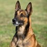 トルーマン profil fotoğrafı