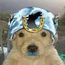 Sirenmain's profile picture
