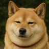 Profilbild von うに犬